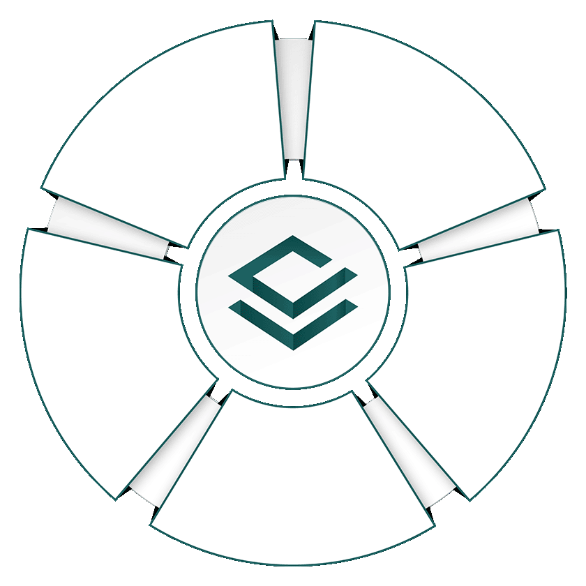 Wheel 5 slices ANIMATED copy 2